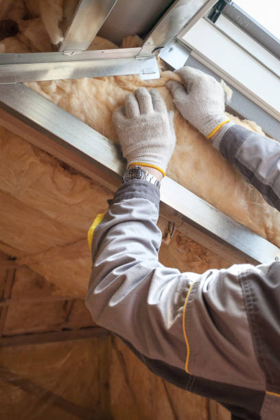 Best Attic Insulation Installation  in Carnegie, PA