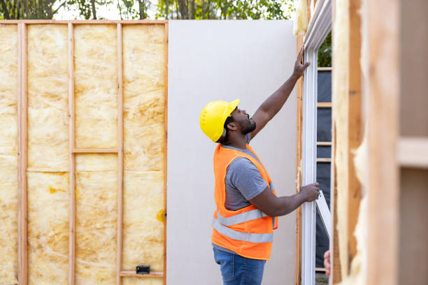 Best Insulation Removal  in Carnegie, PA