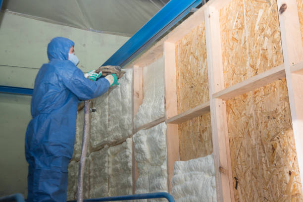 Best Insulation Contractor Near Me  in Carnegie, PA